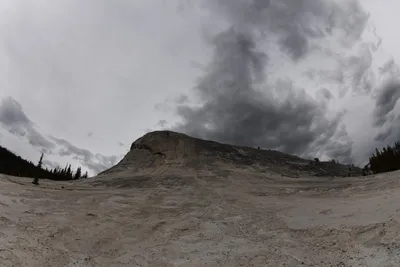 DSC_4452 (Large).JPG